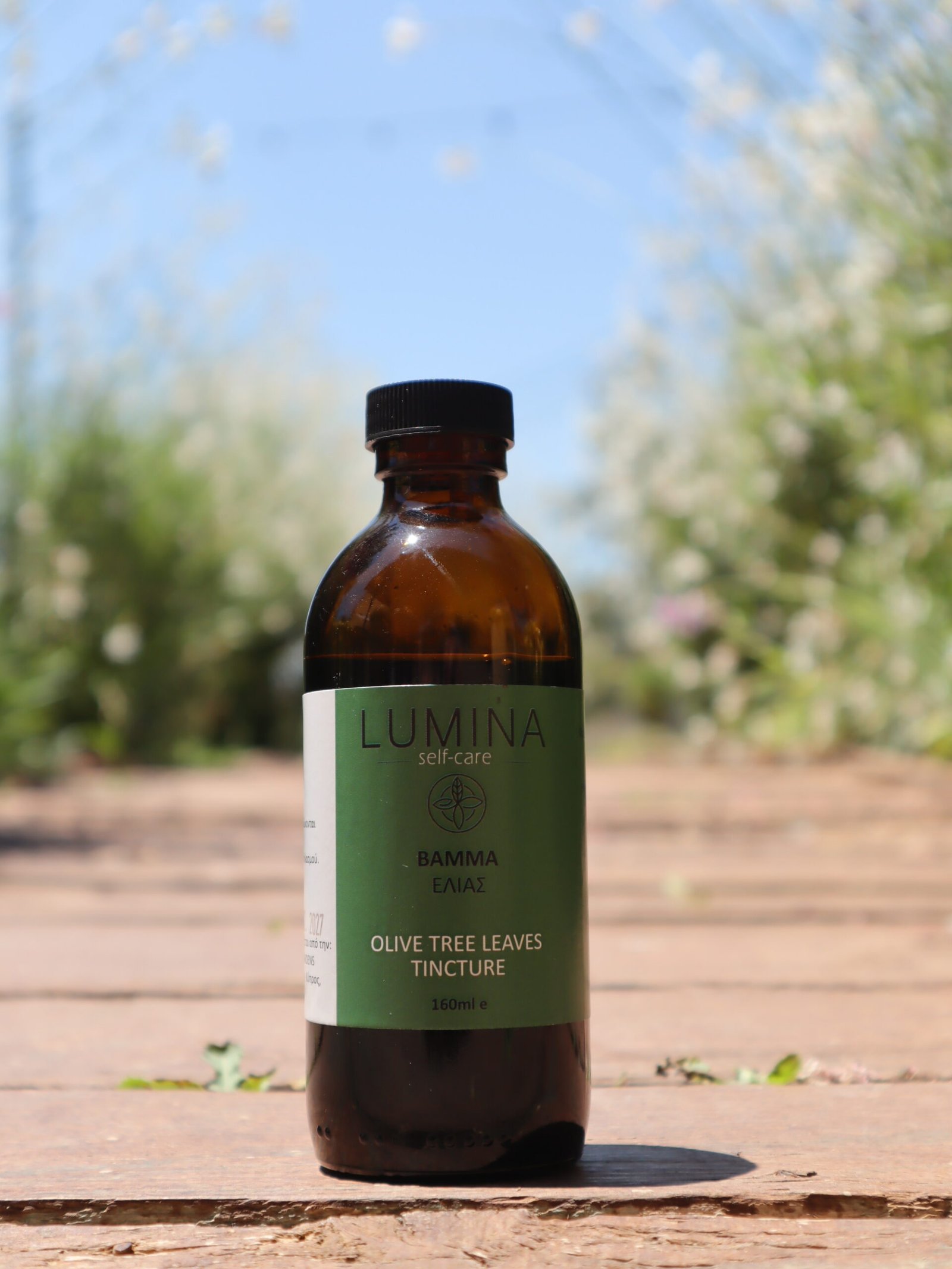 Olive Tree Leaves Tincture