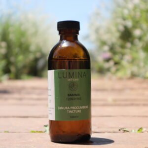 Gynura Procumbens Tincture