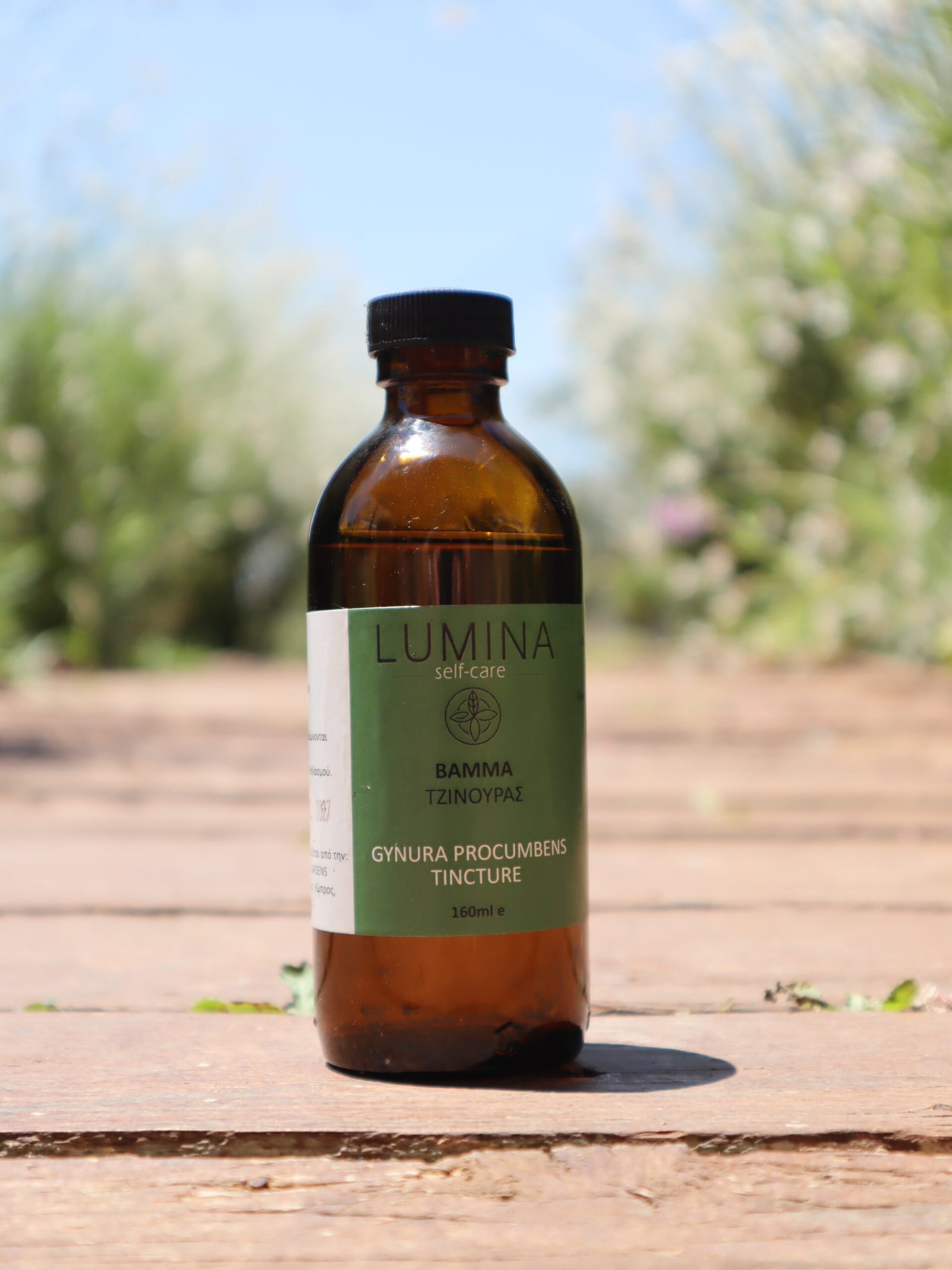 Gynura Procumbens Tincture