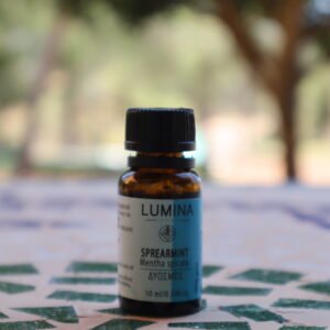 Spearmint Essential Oil