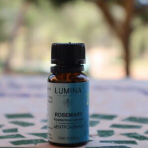 Rosemary Essential Oil