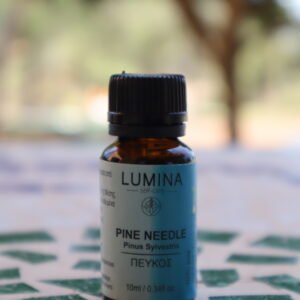 Pine Needle Essential Oil