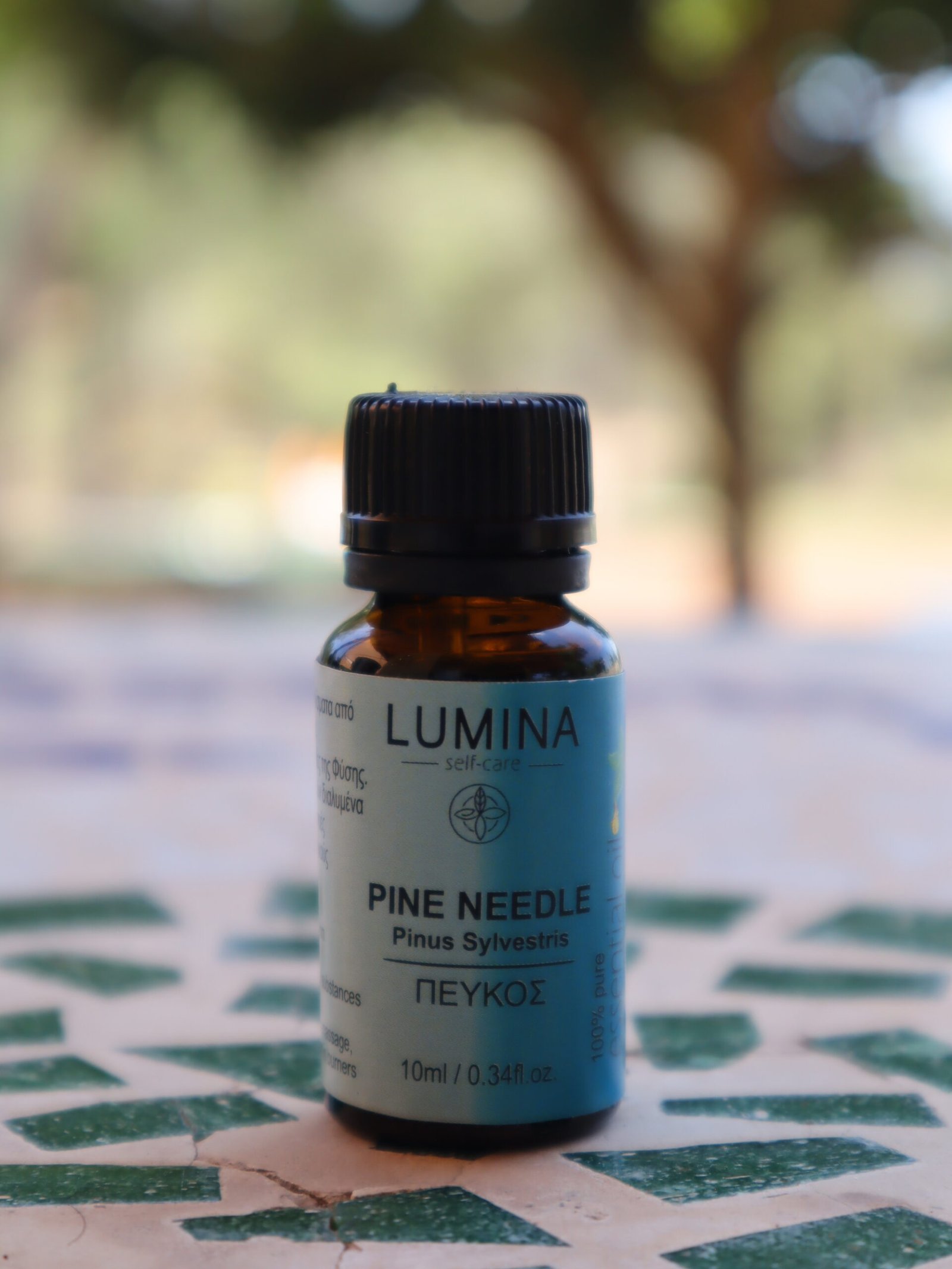 Pine Needle Essential Oil